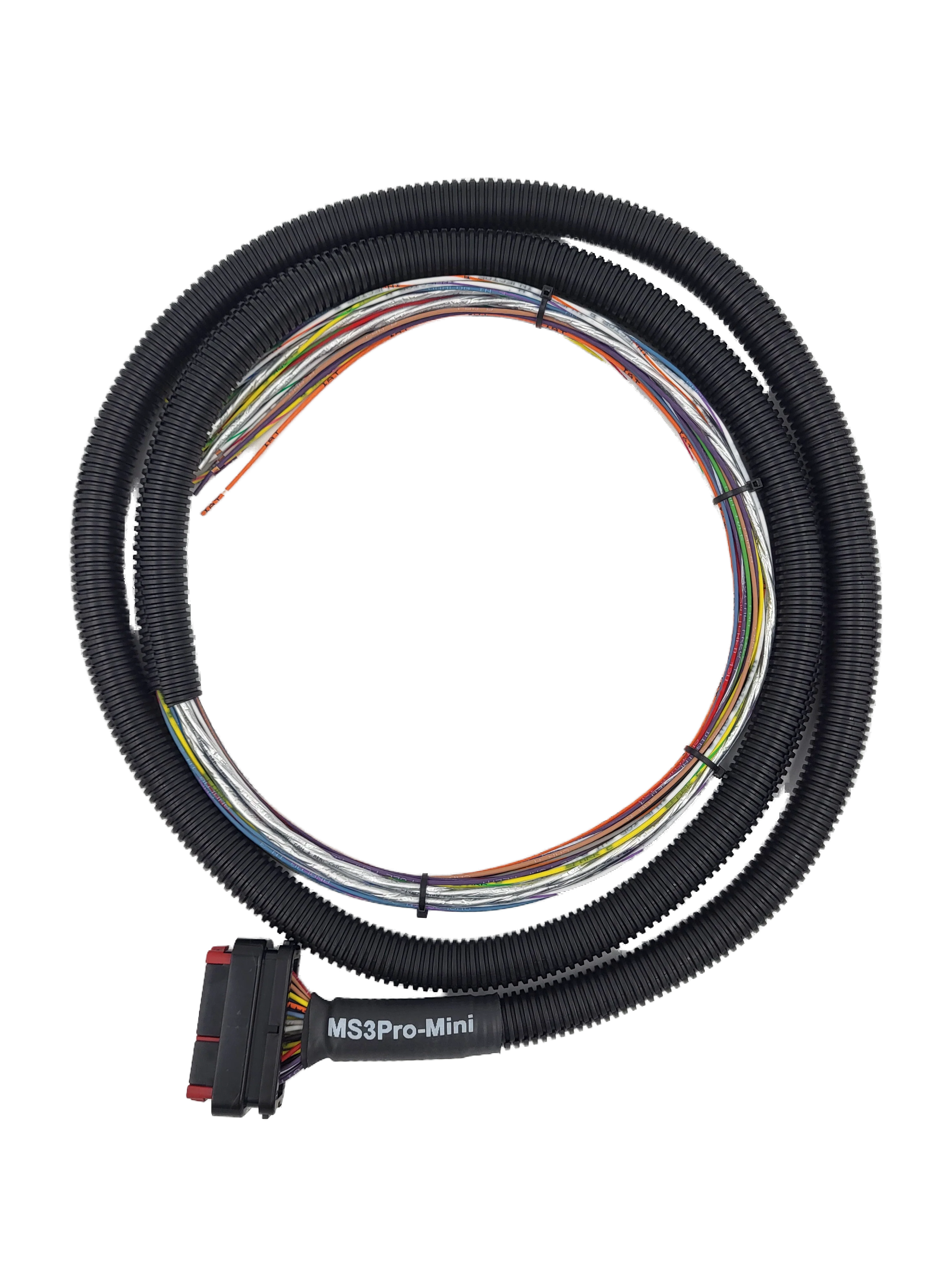 MS3Pro Mini Wiring Harness – Universal Flying Lead - Image 3